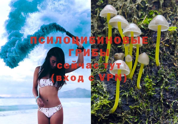 мескалин Горняк