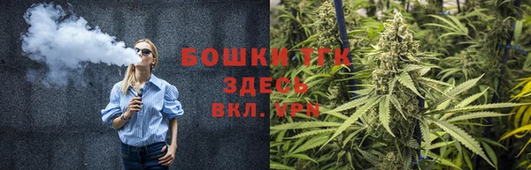 трава Горно-Алтайск