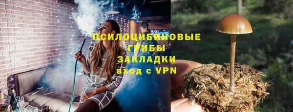 бошки Горнозаводск