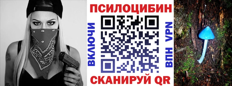 дарнет шоп  Верхний Тагил  Галлюциногенные грибы Psilocybe 